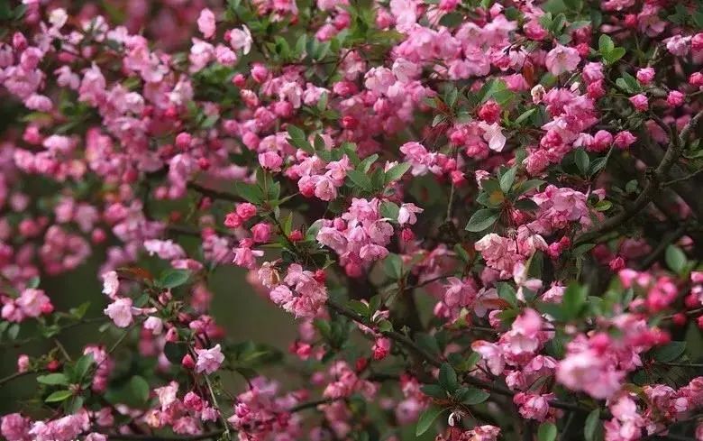 重庆五一冷门自驾,重庆出发自驾8日游攻略路线推荐