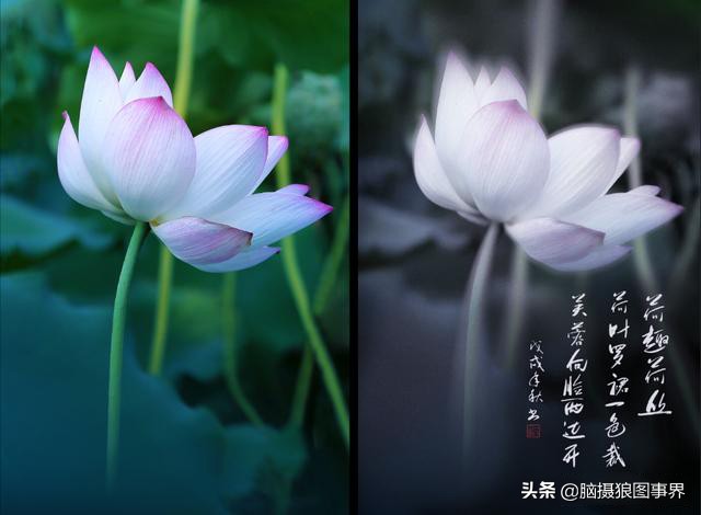 2023专业摄影修图软件,手机摄影后期修图app