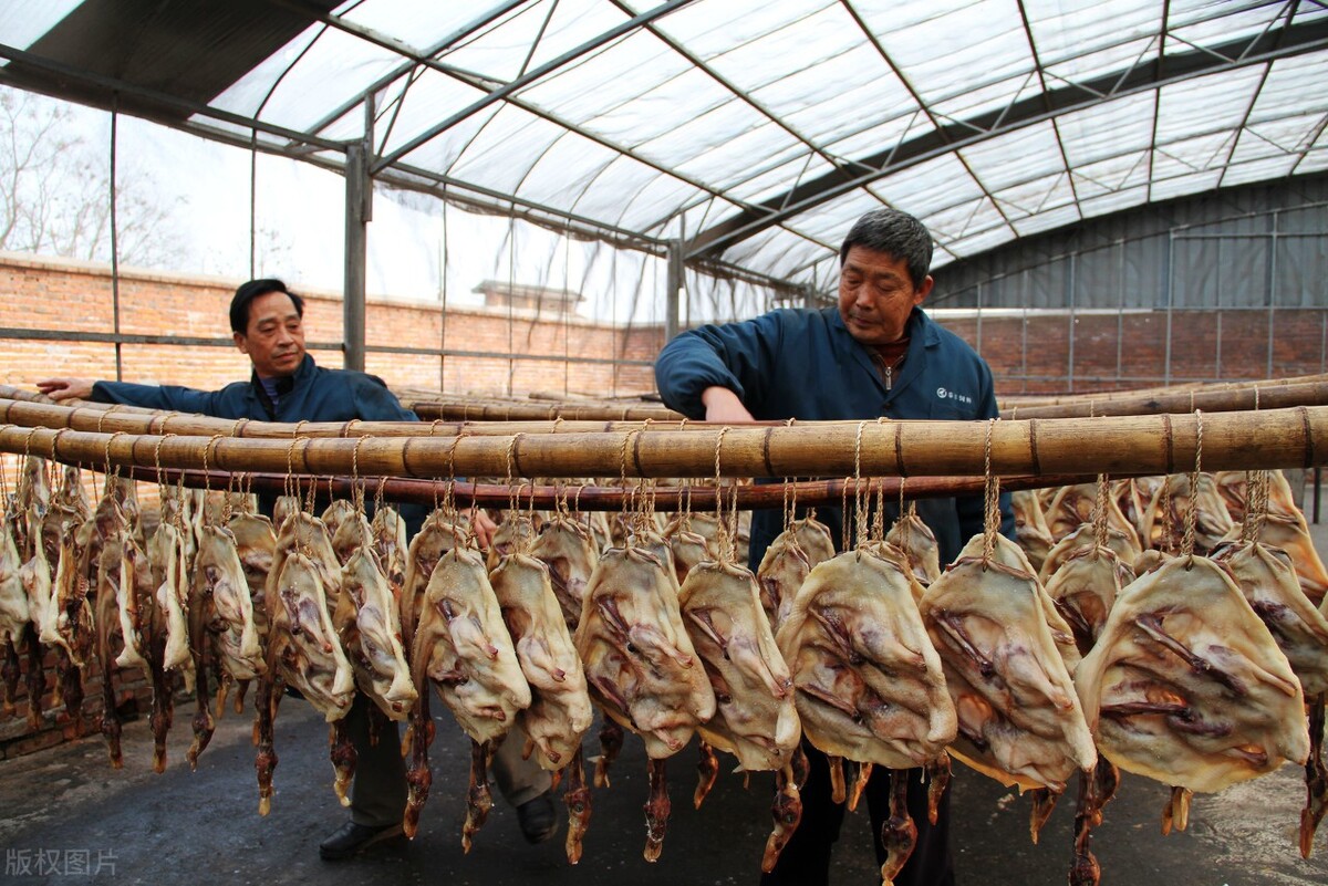 江西共青城有哪些好吃的,江西共青城美食