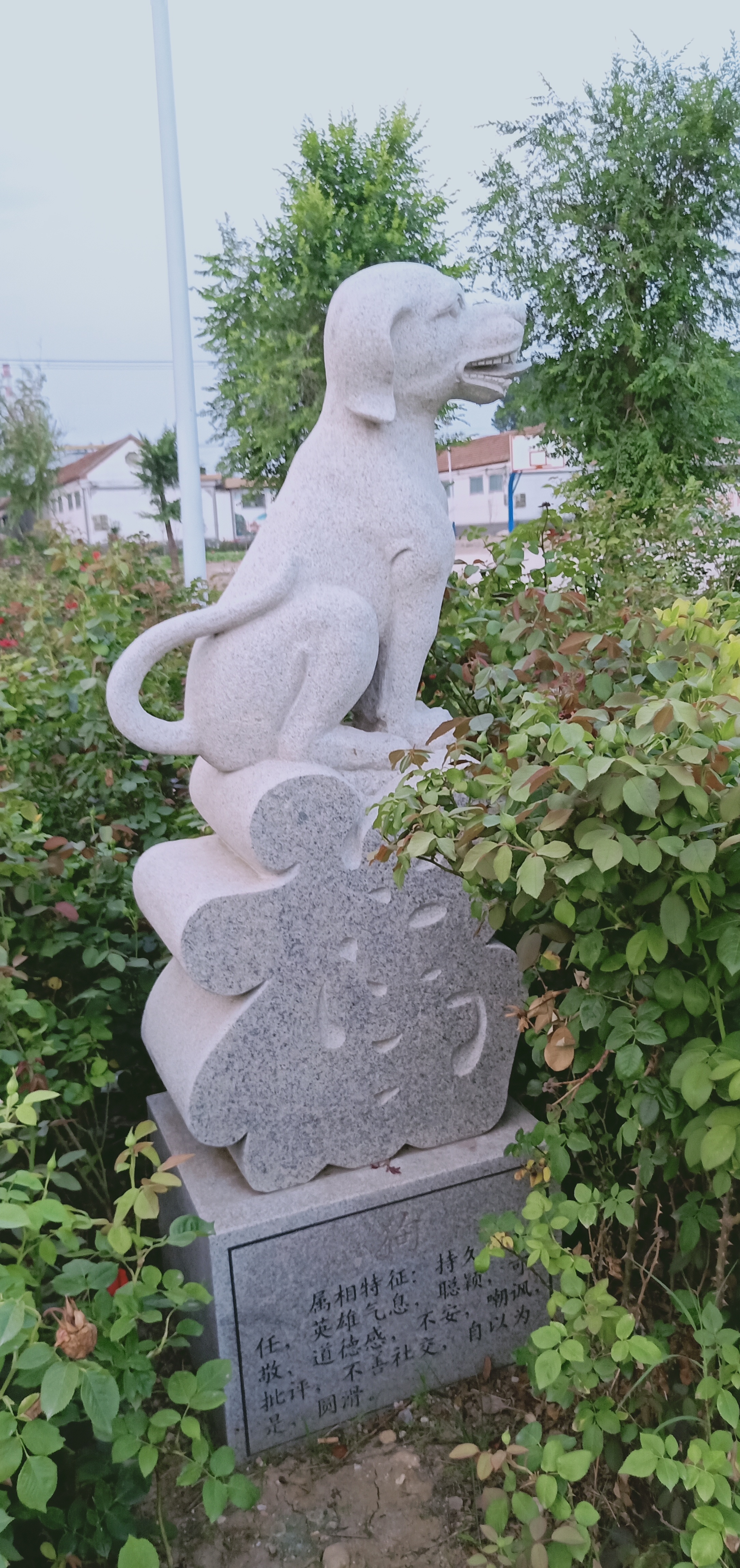 怎么介绍自己的属相给大家听,属相了解一个人