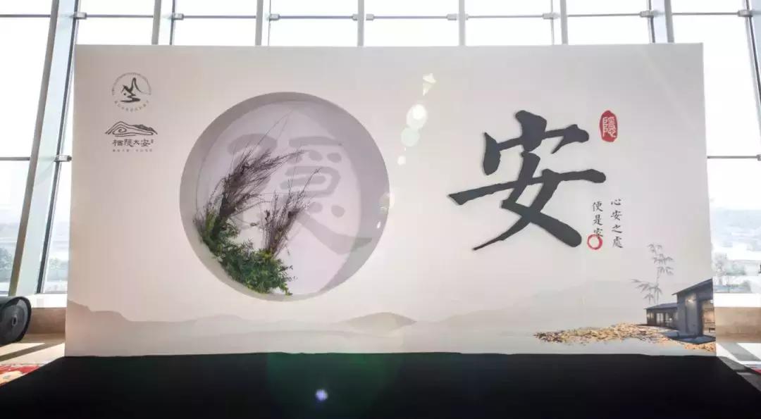 品智案例｜栖隐·大安民宿项目全案生态系统的突破