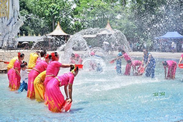 在西双版纳，做了一回“猫哆哩”