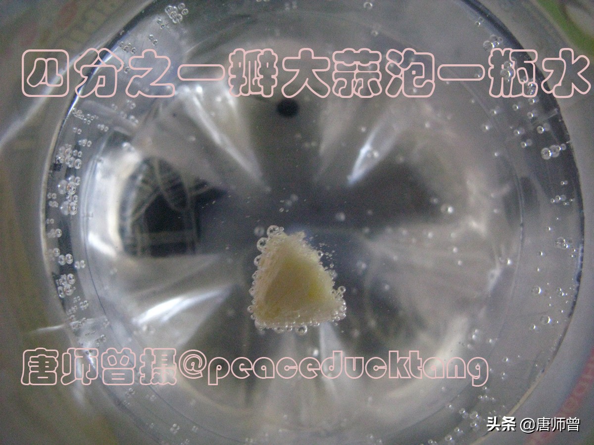 20201204唐师曾:丝绸之路,苍蝇争食,一瓣大蒜