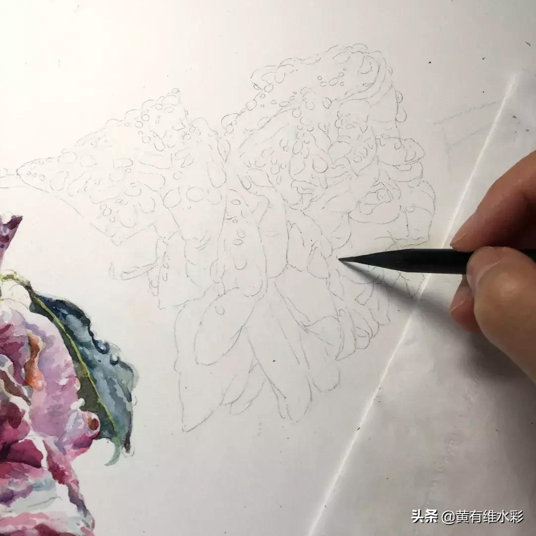 小清新水彩画玫瑰花,水彩画雨中玫瑰