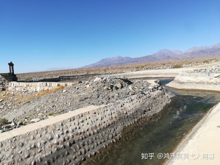 哈密戈壁之花图片,戈壁之花