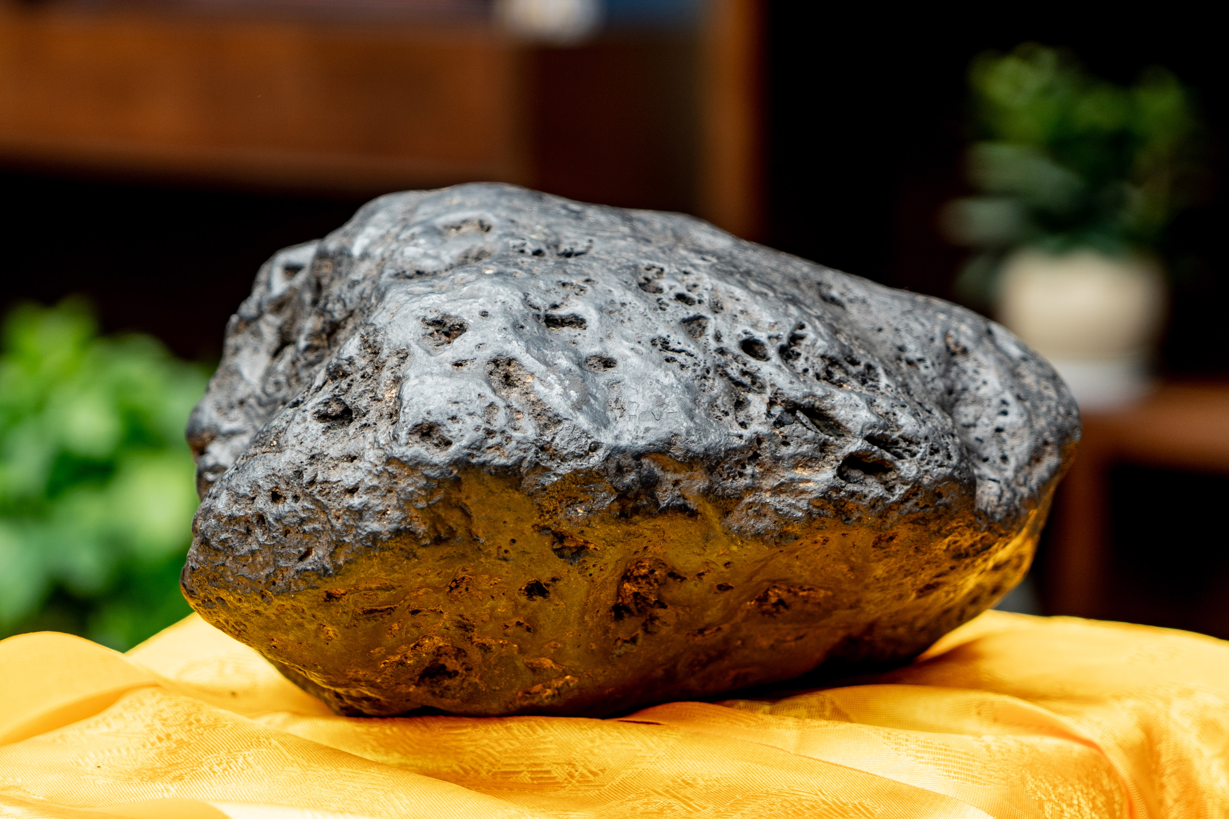 松茸C位的网红下午茶,打卡因美丽传说而诞生的第5颗陨石酒店