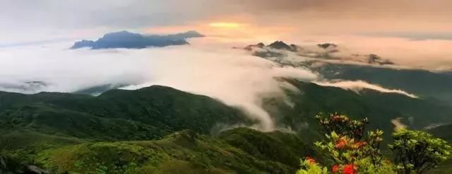 南国仙境姑婆山,姑婆山从南国仙山到山顶要多久