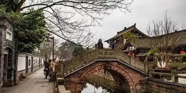 街子古镇兰花节,2021街子兰花博览会开幕式