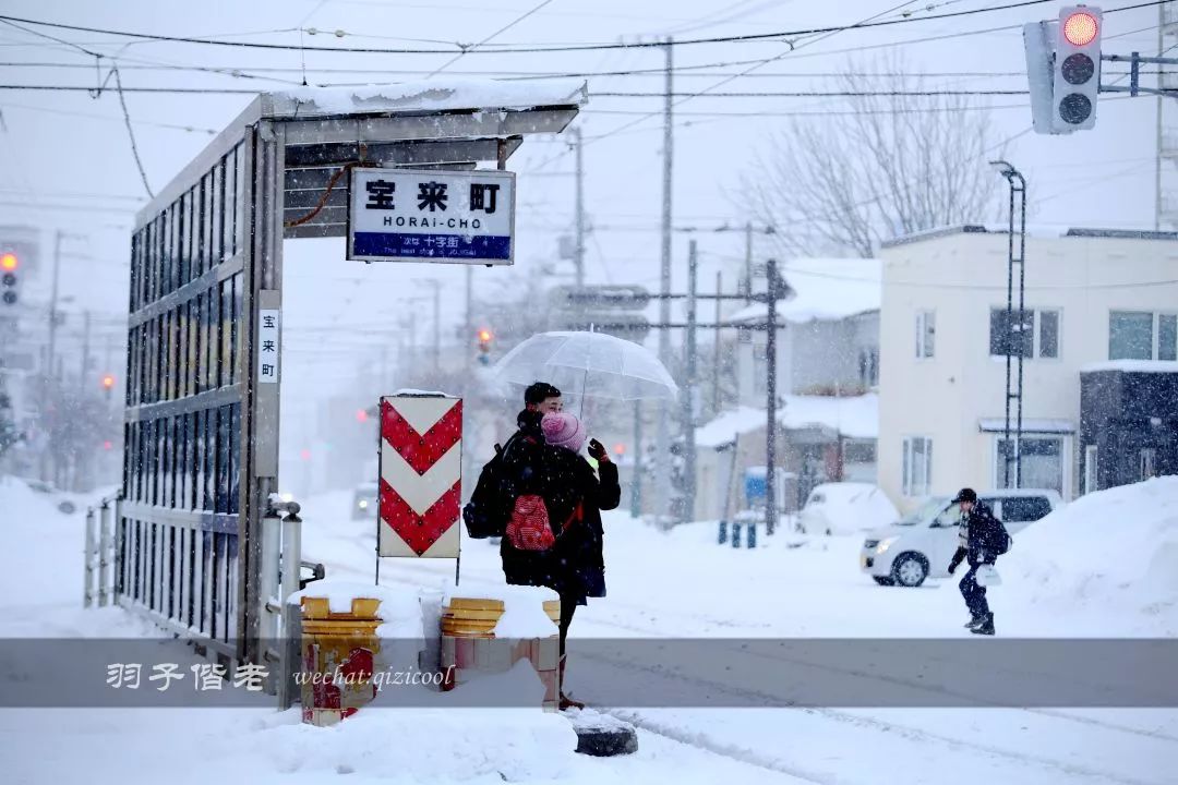 老实说，这一趟北海道就是为了拍好看的照片去的