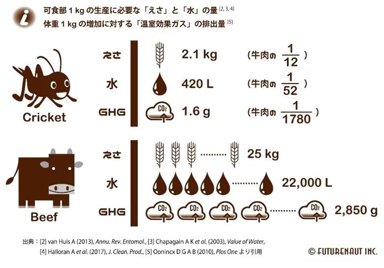 蟋蟀粉做面包,面包是不是用蟋蟀做的