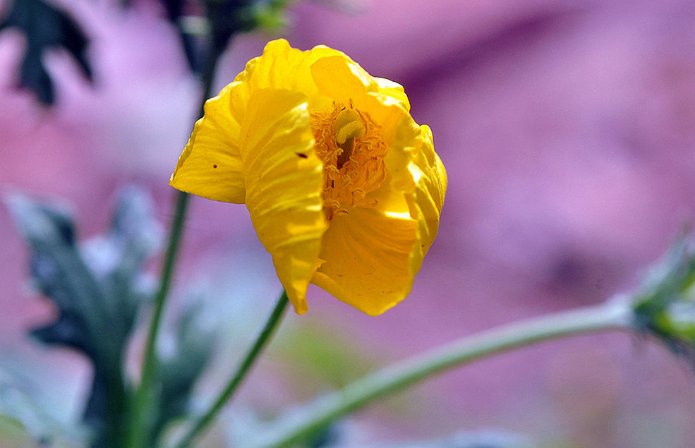 蓦然回首灯火阑珊处是什么深意,蓦然回首才发现留给你的全是伤害