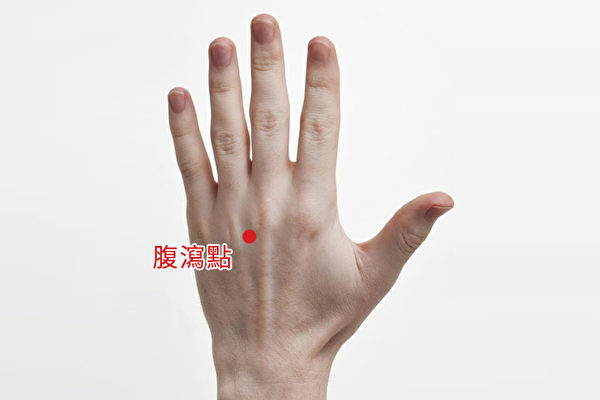 总拉肚子喝什么调养,总是腹泻拉肚子怎么办