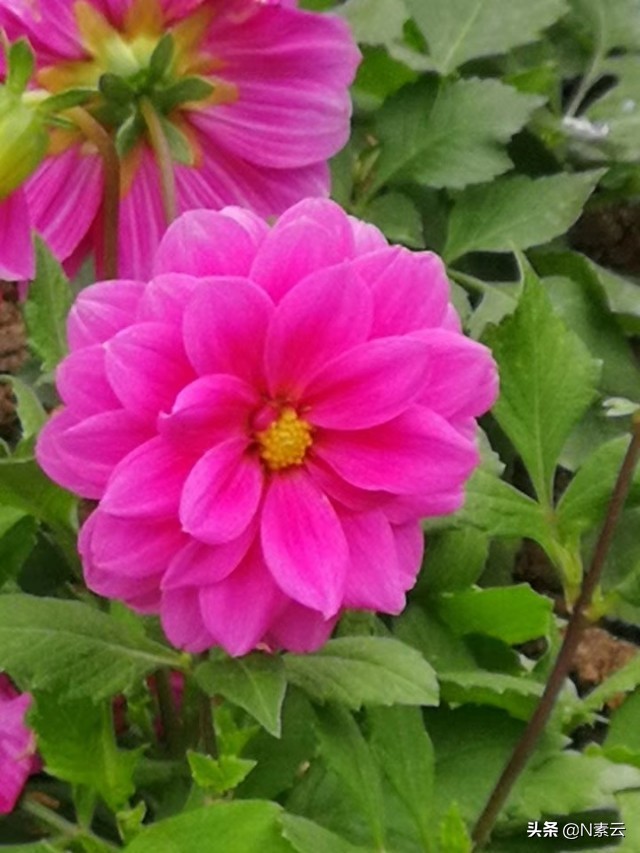 夫妻跟兄弟姐妹哪个更亲,夫妻之间最亲的表现