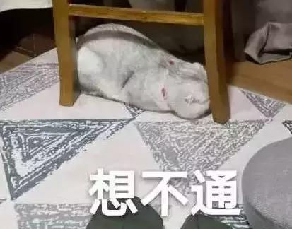 夏天就该看这部电影啊！！！