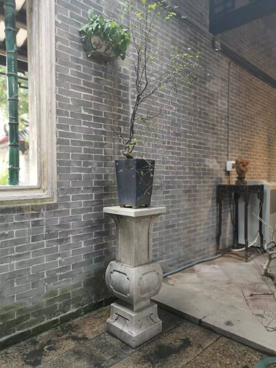 中国传统文化与院子,中国传统文化天井