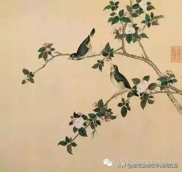 清宫鸟谱,清宫秘传鸟谱大全