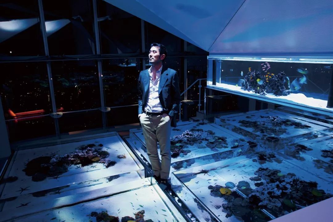 日本网红打卡艺术展,日本十大网红展