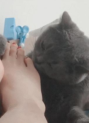 为什么喜欢闻自己的脚臭,狐臭口臭脚臭屁臭