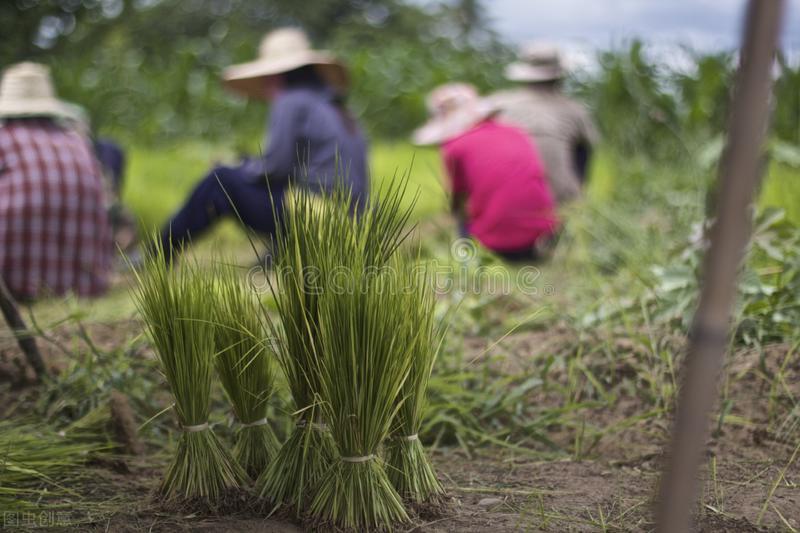 一本书改变了我的命运,一本书改变认知