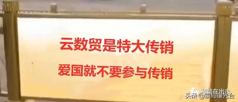 互联网传销大案,50个受骗的互联网项目