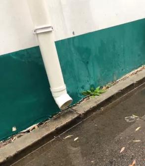 让孩子流利说英语你只需做一件事,零基础口语让孩子开口说英语