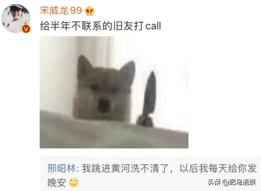 邢昭林宋威龙什么关系,邢昭林和宋威龙同框