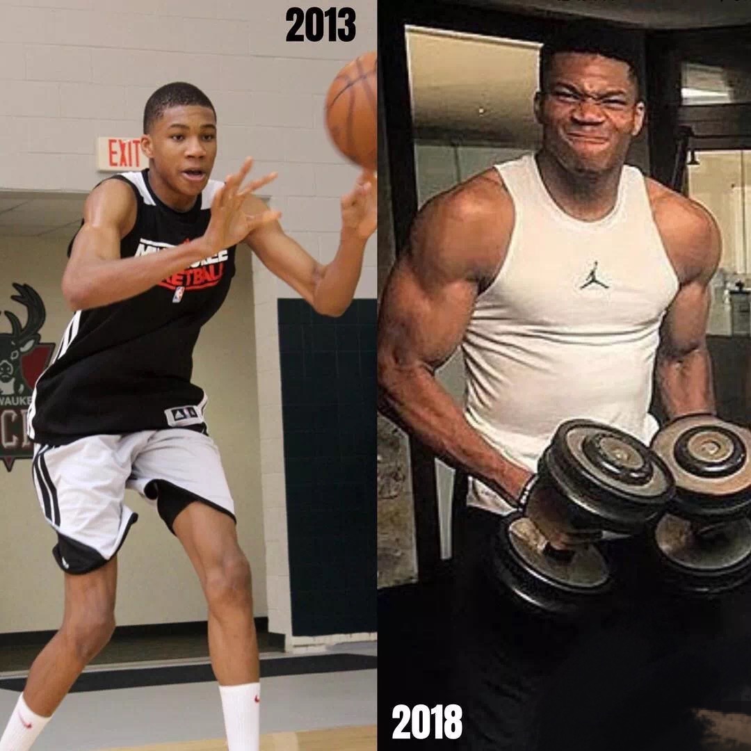 内胚型中胚型外胚型体质区分,内胚型体型