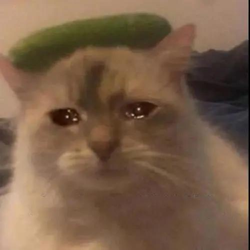 隆鼻一年鼻子按着痛,隆鼻第5天鼻子轻轻一碰就痛