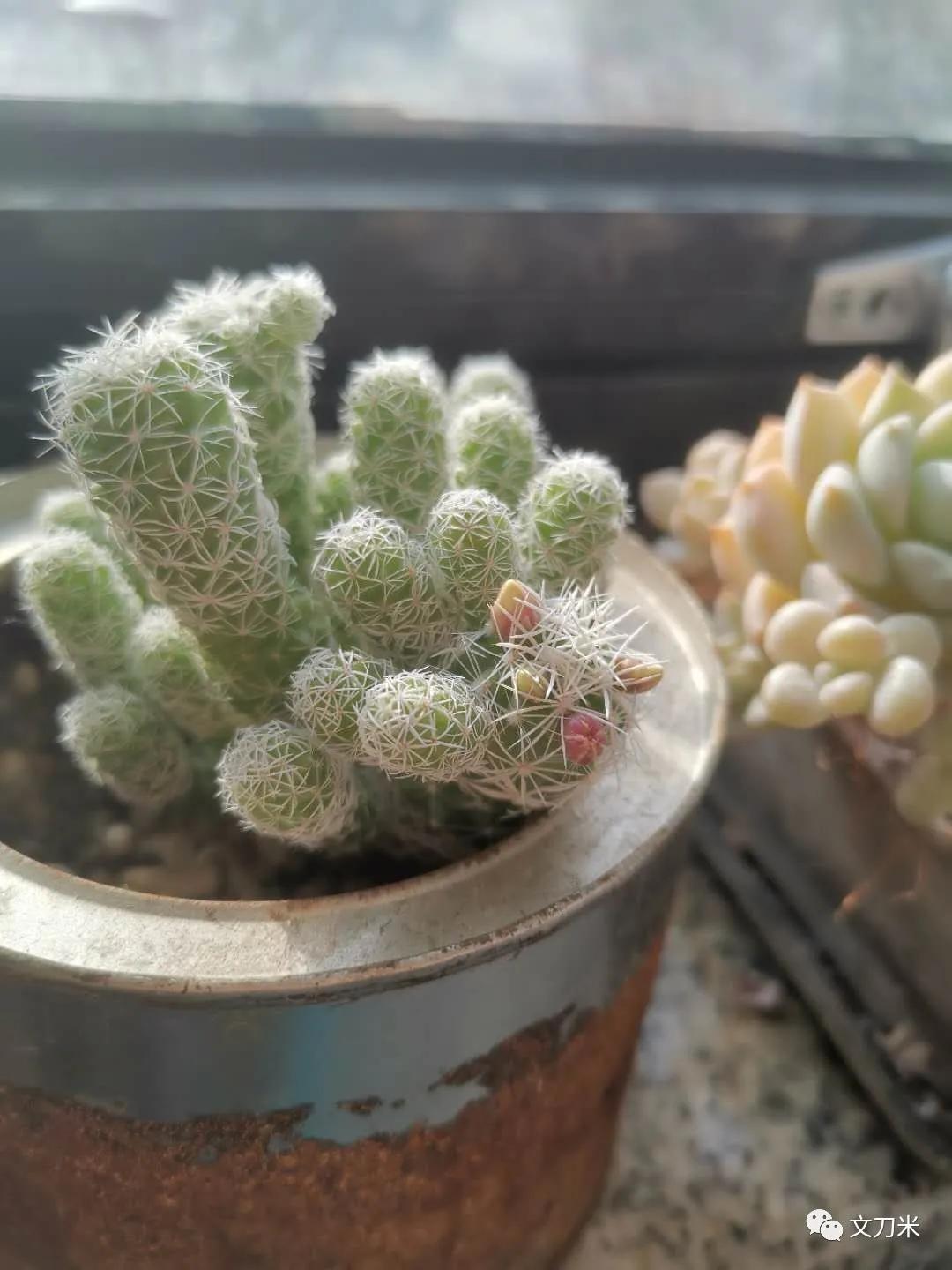 记录设计生涯,设计毕业生现状