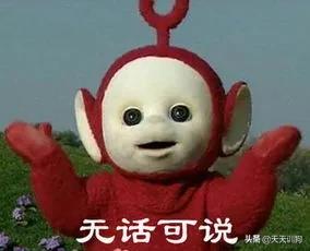 科学养犬四个标准是指哪些,科学养宠攻略狗不能吃什么