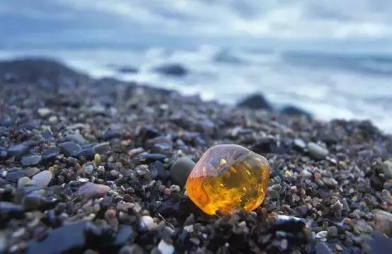 波兰琥珀展销会视频,波兰琥珀展国际展