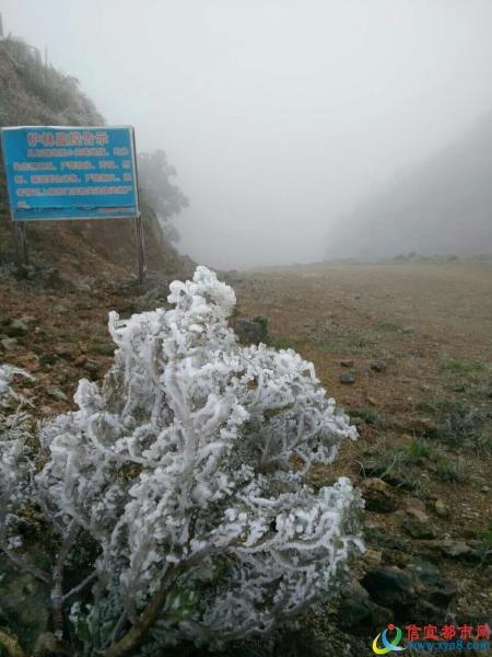 茂名市简介2019,茂名市的由来简介