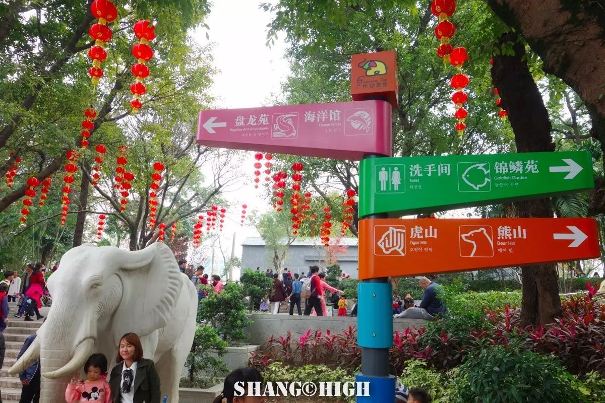 记者探访广州动物园,动物园观察动物