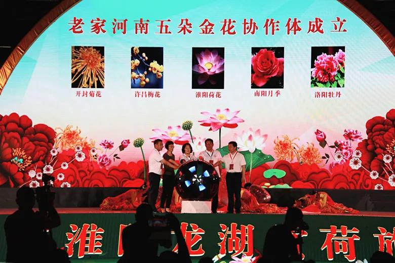 淮阳龙湖风景区荷花盛开,淮阳荷花风景区