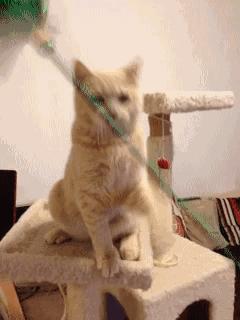 男言之隐怎么样,男言之隐介绍