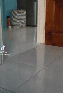 胆小的小奶猫是什么样的,胆小的小奶猫