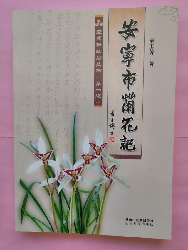 安宁（县）市兰花初期的发展（1991一2010.8）