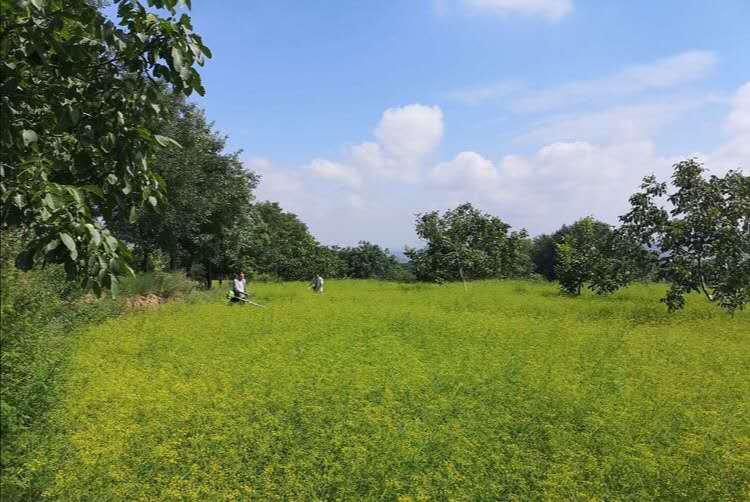 生态宜居家园风景,生态环境美丽家园