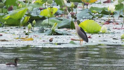 閮戝窞椋為笩瀹跺洯鍥剧墖澶у叏,閮戝窞椋為笩瀹跺洯椋庢櫙