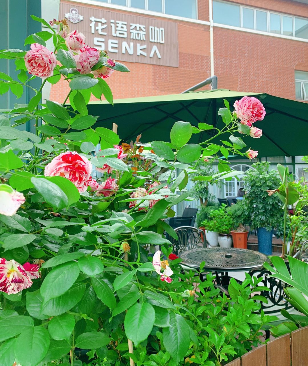 泰晤士小镇怎么去有啥好玩的,泰晤士小镇怎么拍