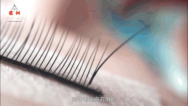 睫毛长扎眼睛该如何处理,睫毛长扎眼睛怎么办小妙招