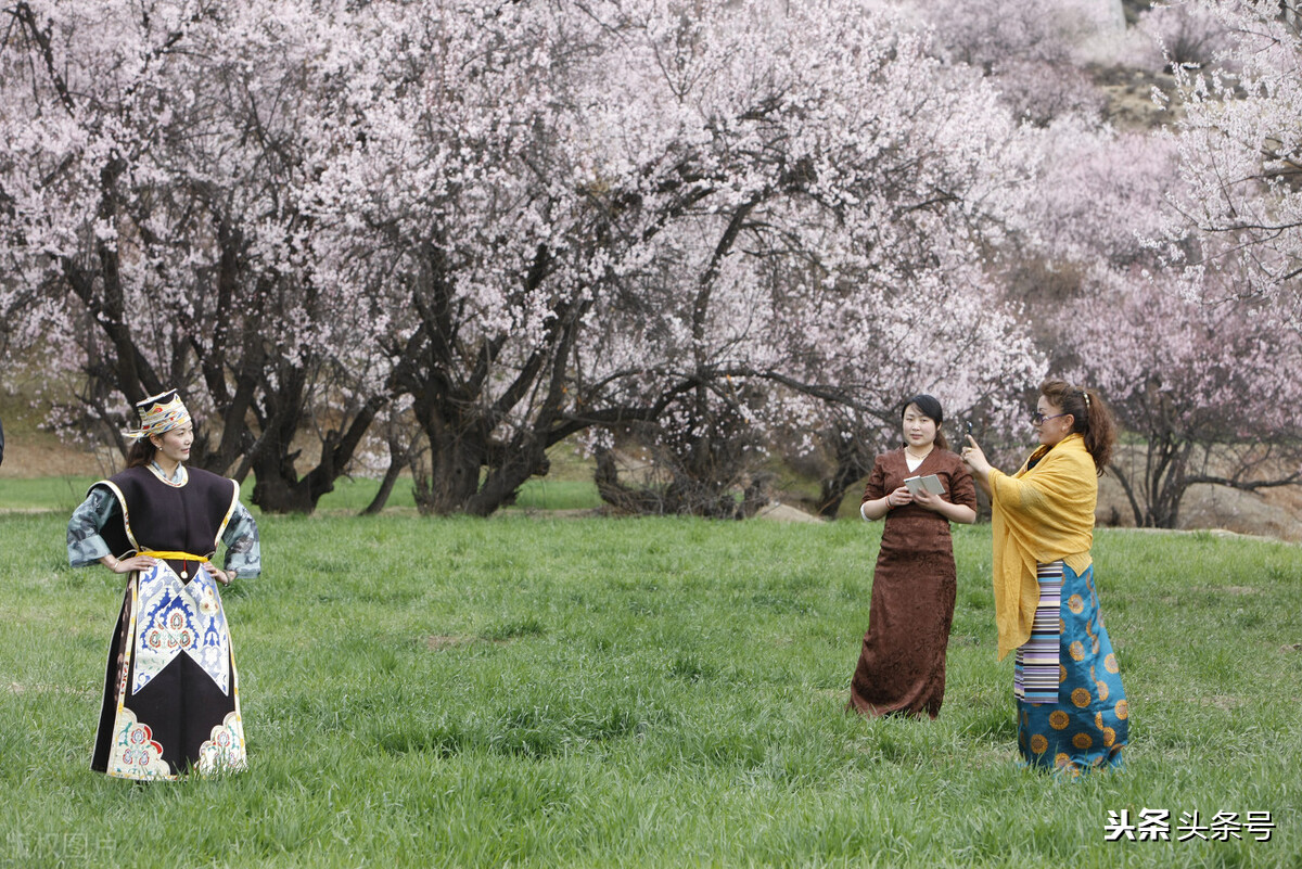 《风景名胜》(17)——*藏西**林芝