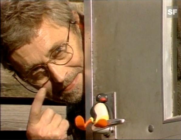 世界上最有诚信的企鹅,世界上最小的企鹅品种