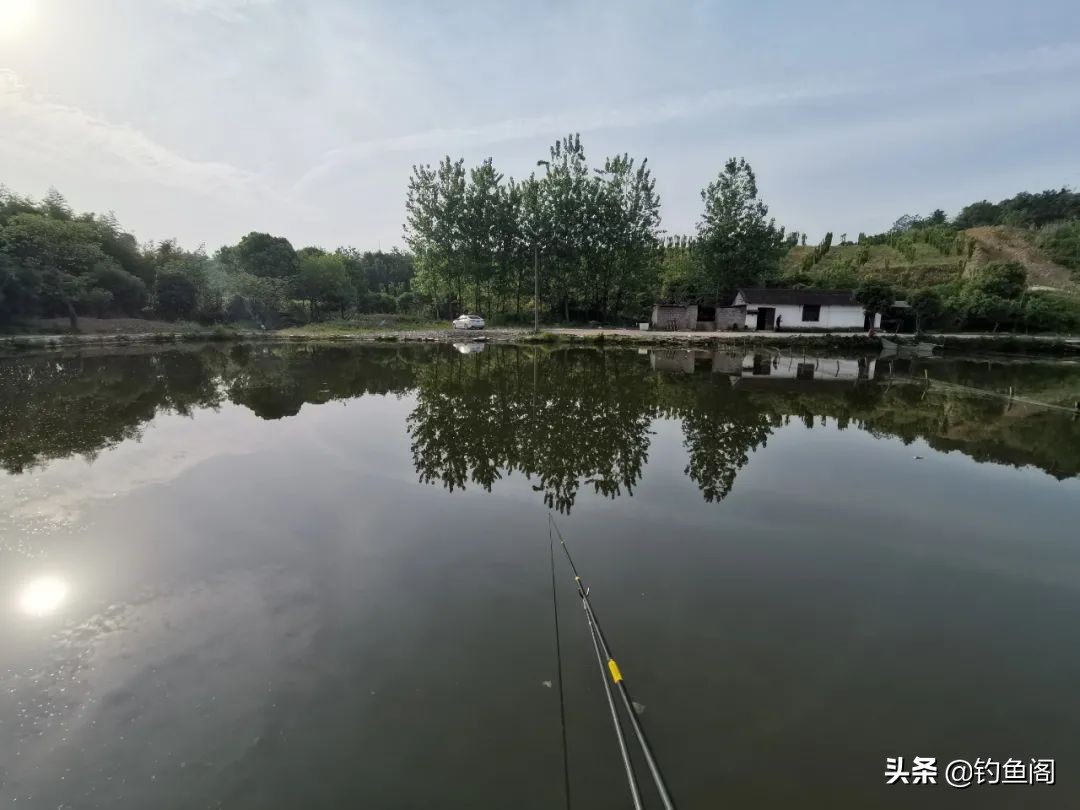 如何正确的选择浮漂,如何选择合适的浮漂