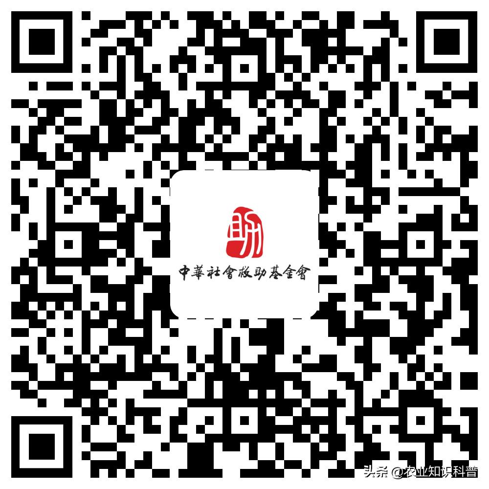 急性肝衰竭救过来的孩子,男子被确诊急性肝衰竭