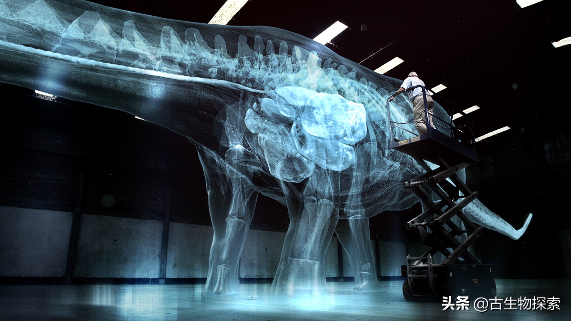 泰坦龙是最大的恐龙吗,世界上最高的恐龙是泰坦巨龙吗