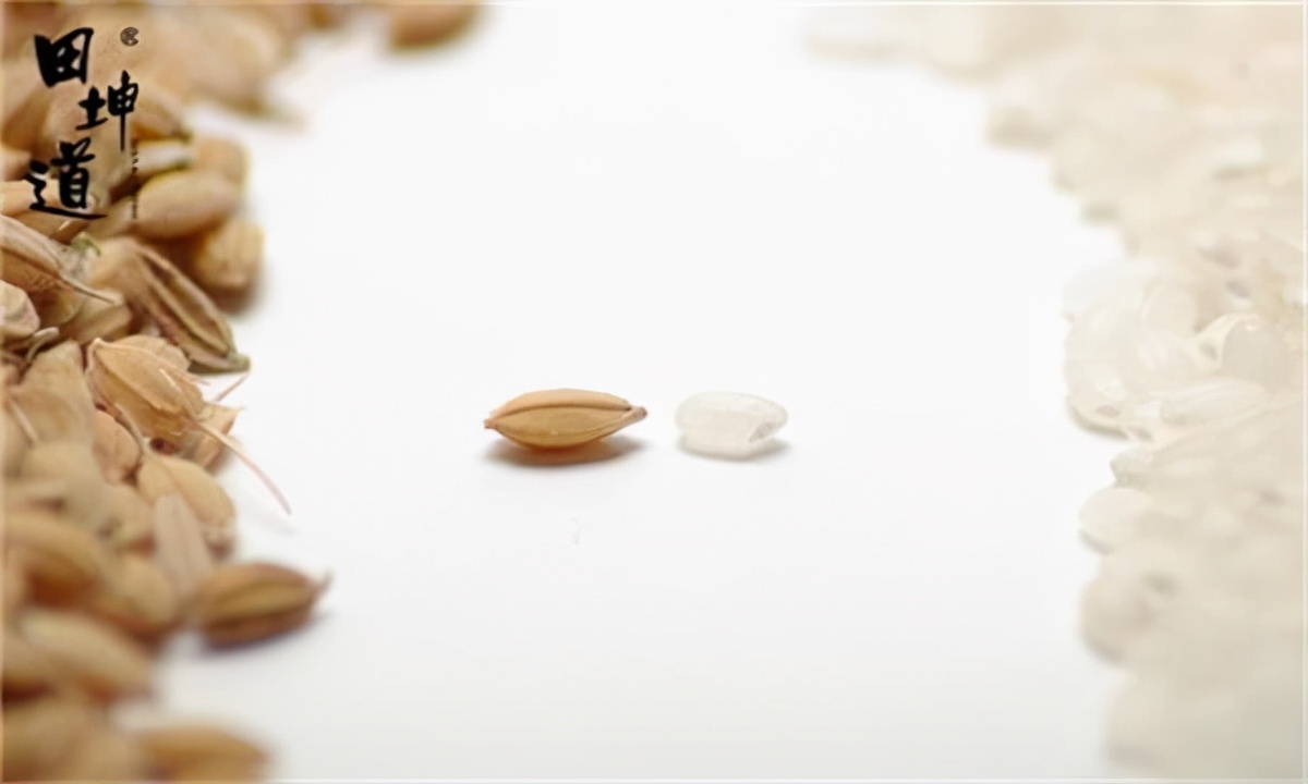 粮油行业值得做吗？看方先生如何回答