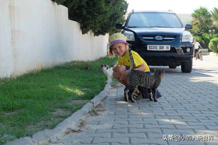 突尼斯是个什么样的国家,欧洲人眼中的突尼斯