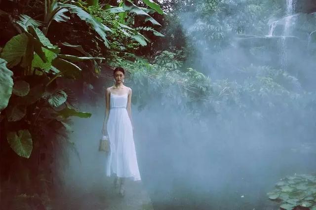 厦门旅游最强最新攻略,厦门旅游十大必去景点吃的攻略