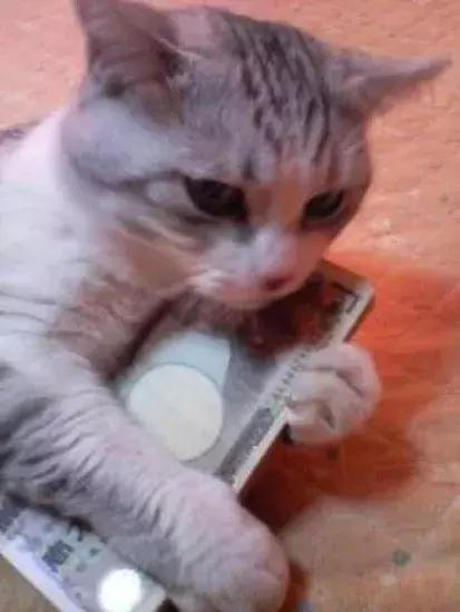 日本一天工资真的很高吗,真实的日本工资待遇